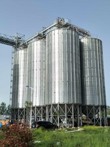 河南麥道面業(yè)6-700噸